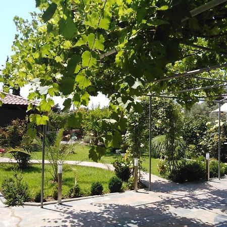 Villa Viktoria Halkidiki Nea Silata Exterior photo