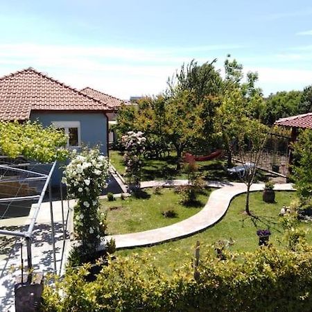 Villa Viktoria Halkidiki Nea Silata Exterior photo