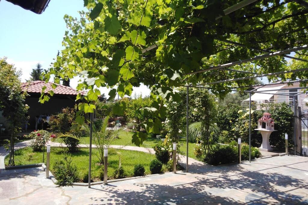 Villa Viktoria Halkidiki Nea Silata Exterior photo