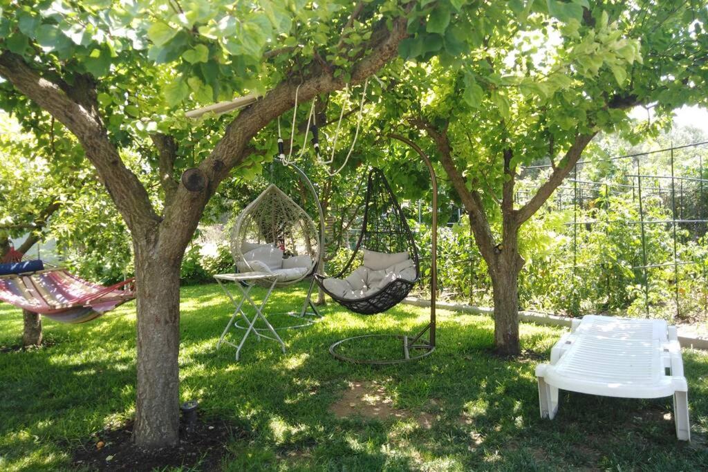 Villa Viktoria Halkidiki Nea Silata Exterior photo