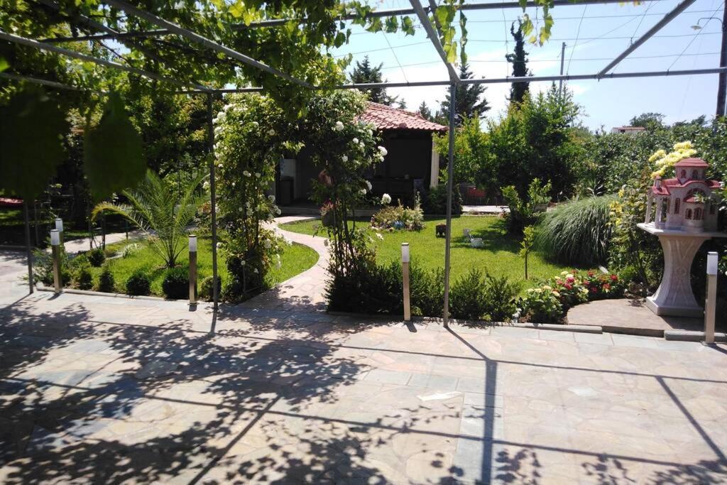 Villa Viktoria Halkidiki Nea Silata Exterior photo
