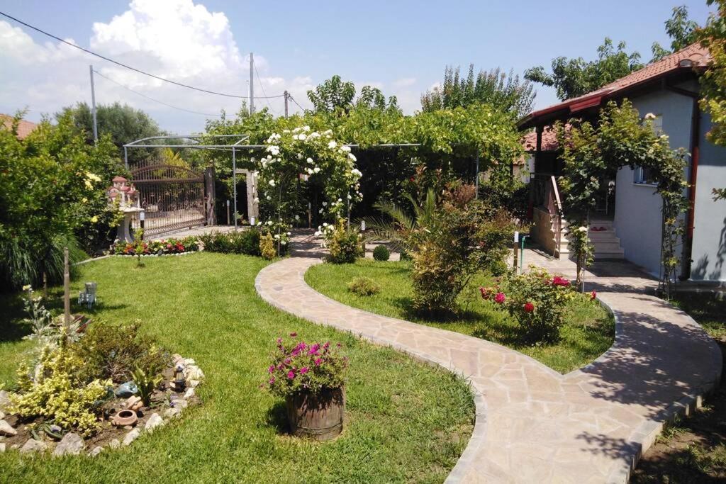 Villa Viktoria Halkidiki Nea Silata Exterior photo