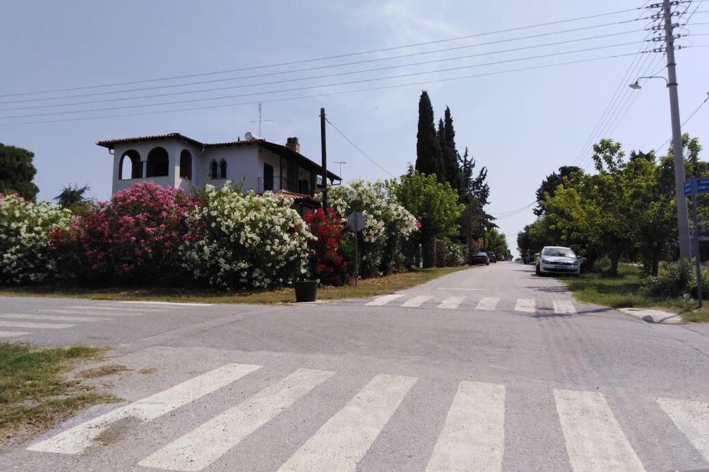 Villa Viktoria Halkidiki Nea Silata Exterior photo
