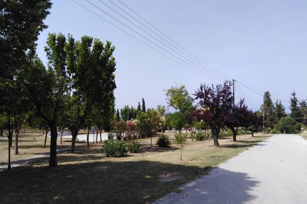 Villa Viktoria Halkidiki Nea Silata Exterior photo