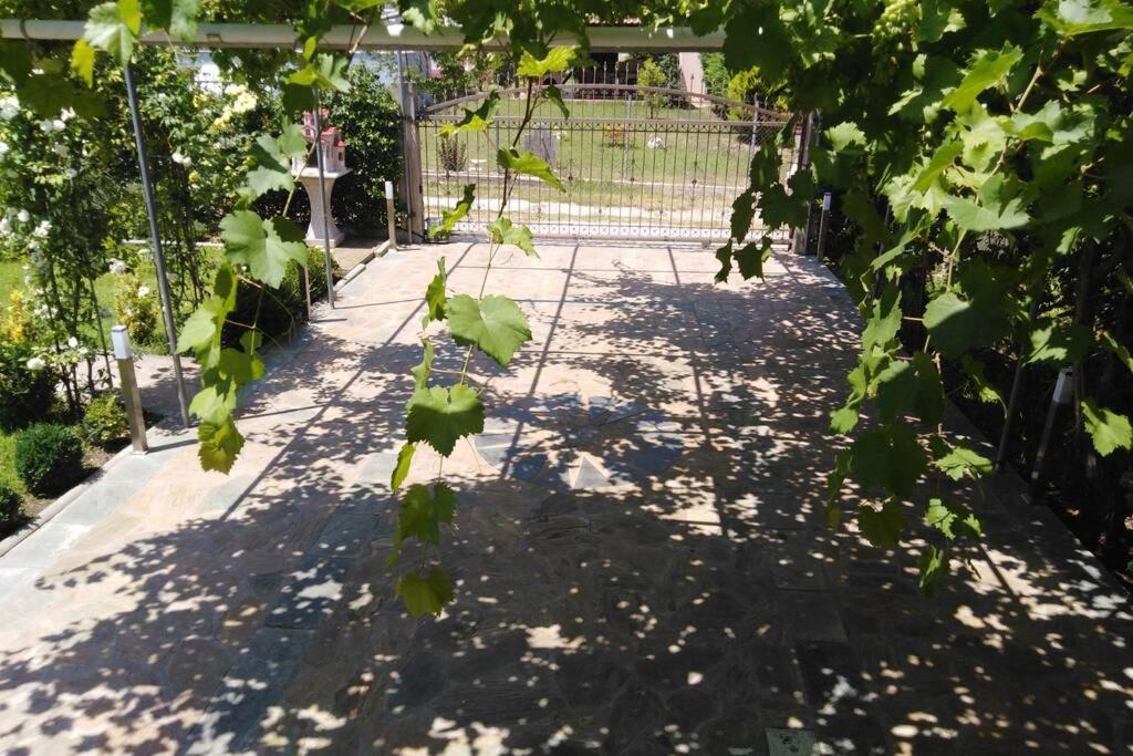 Villa Viktoria Halkidiki Nea Silata Exterior photo